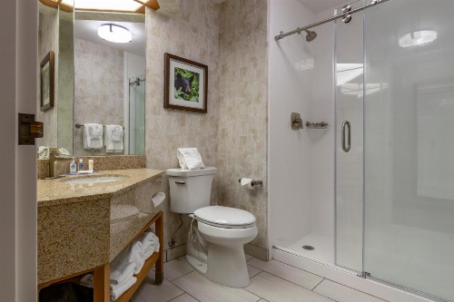 Comfort Inn image 15